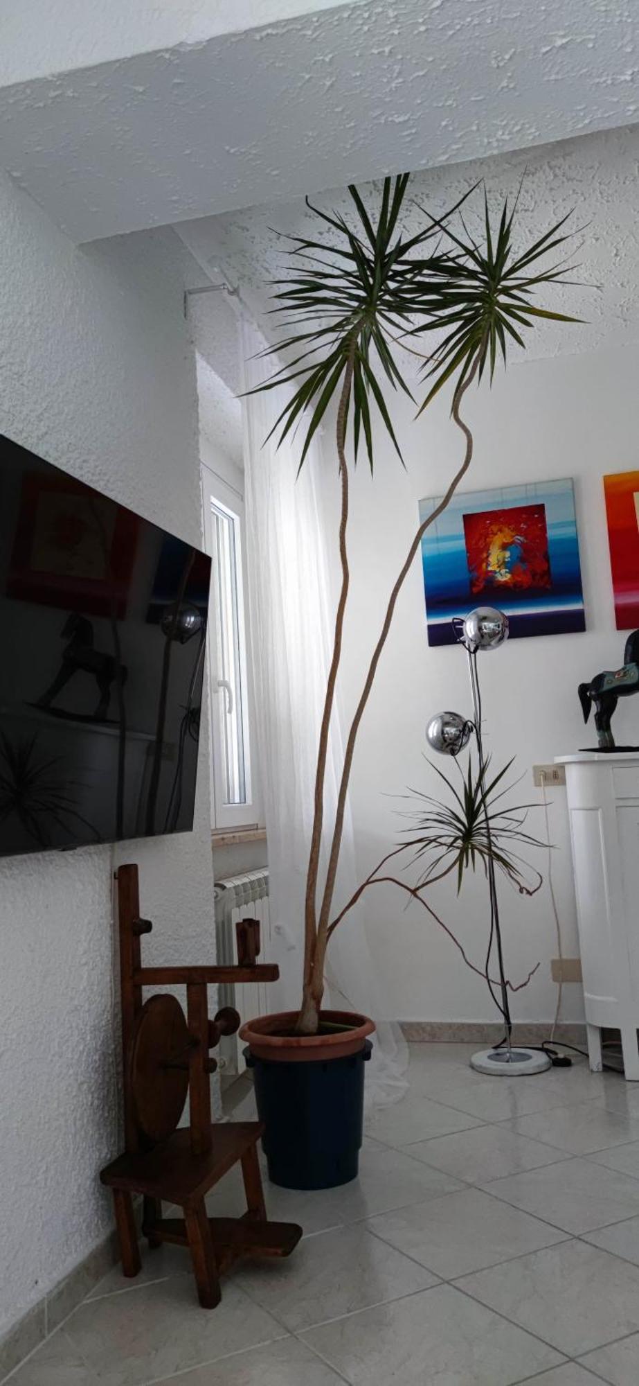 Ferienwohnung Residenza Bertolini Fosdinovo Exterior foto